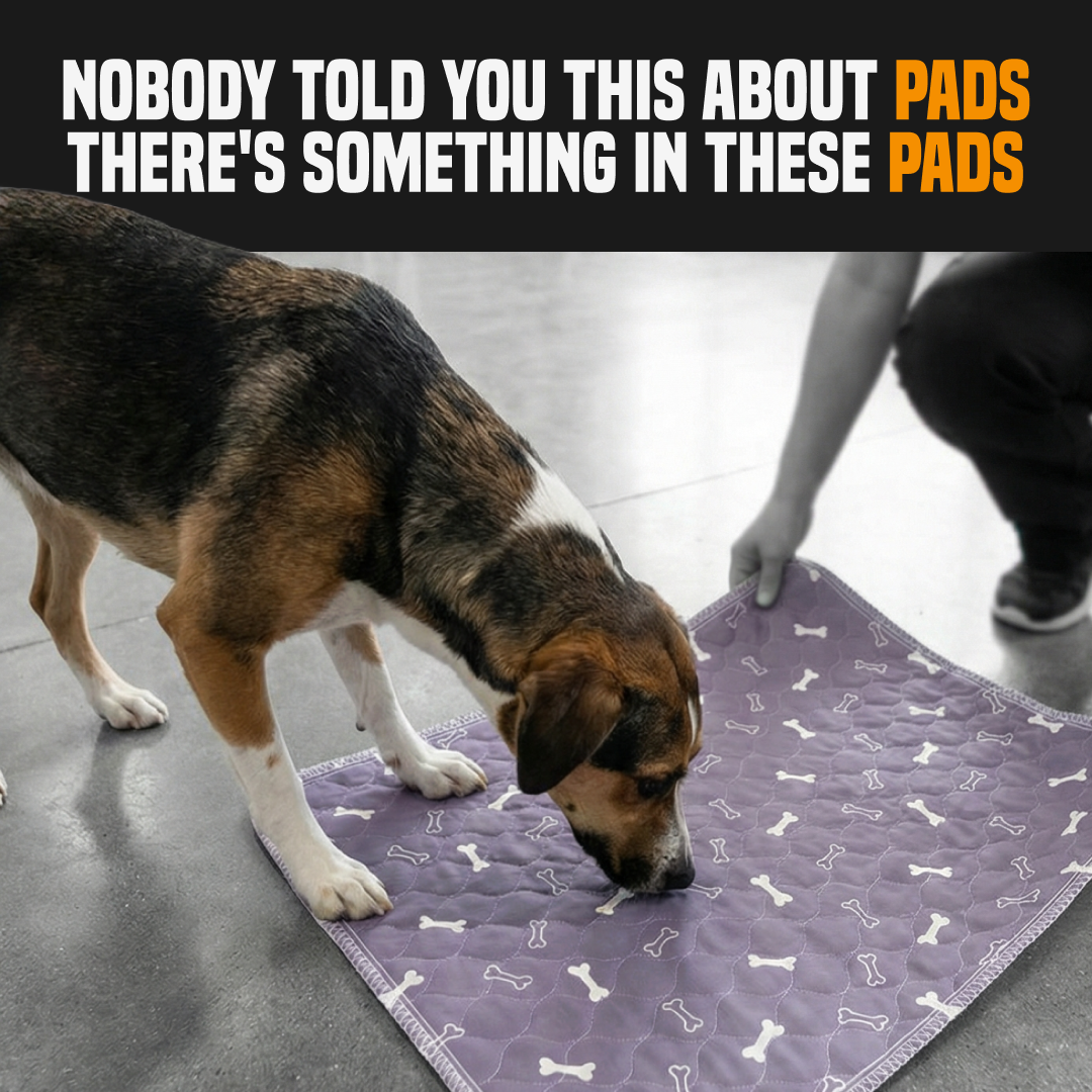 PuppyPad Facebook ad
