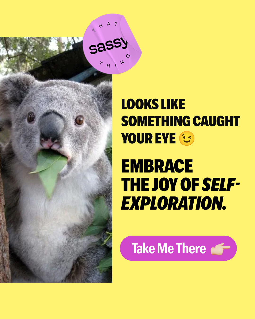Thatsassything.in Facebook ad