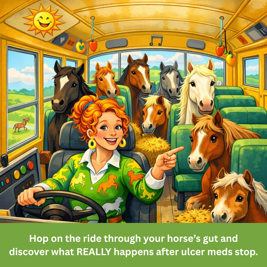 Smart Earth Camelina Facebook ad: Inside Your Horse’s Gut: What Happens After Ulcer…