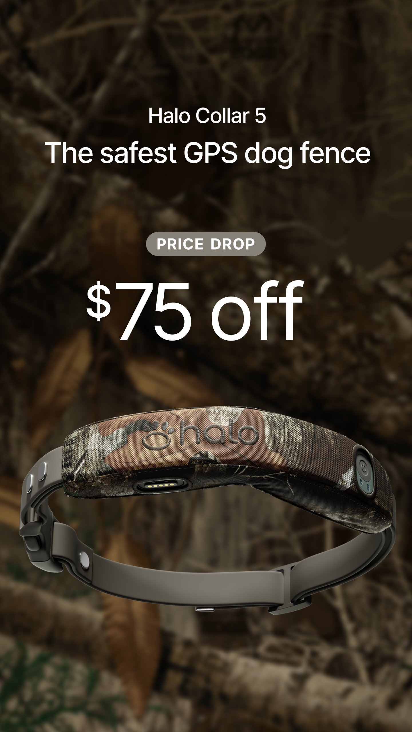 Halo Collar Facebook ad