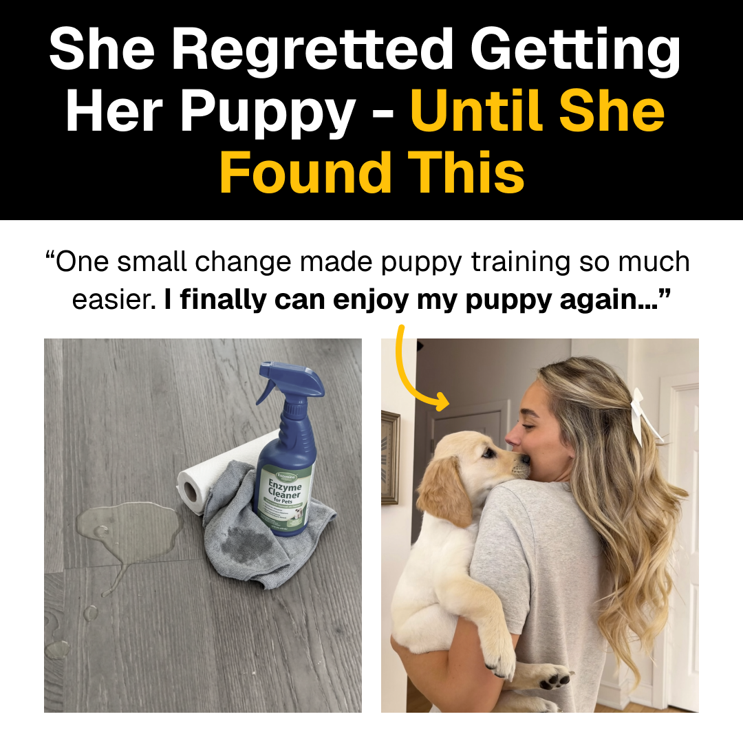 Wearepup. Facebook ad from Mar 14, 2026