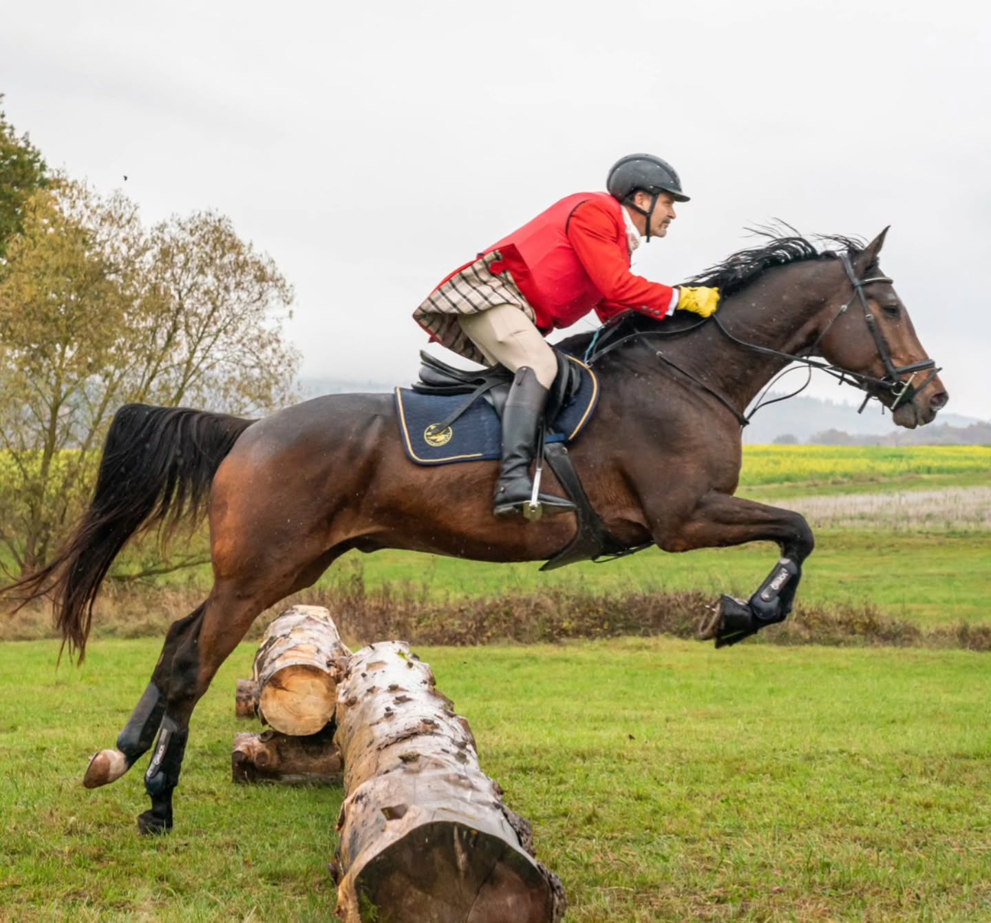 su__at Facebook ad: @givmeasmile.de reiten pferdesport springreiten…