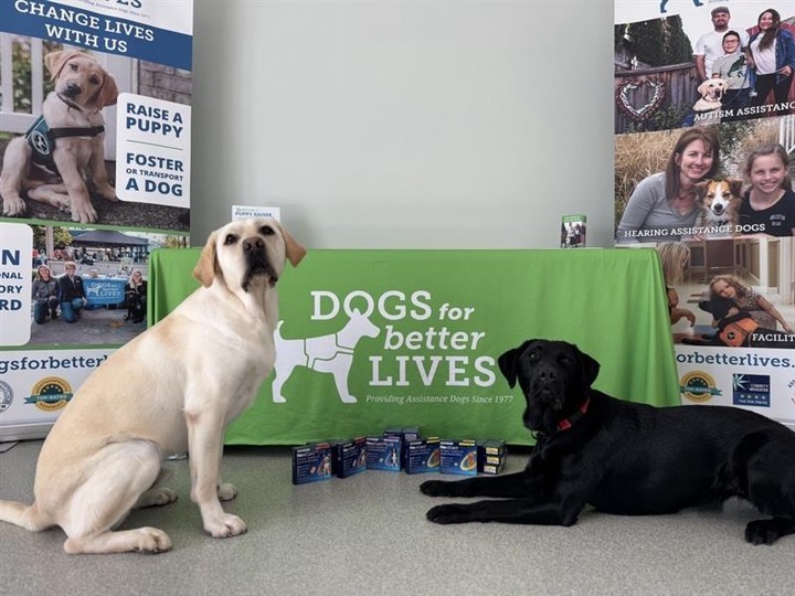 Dogs for Better Lives Facebook ad