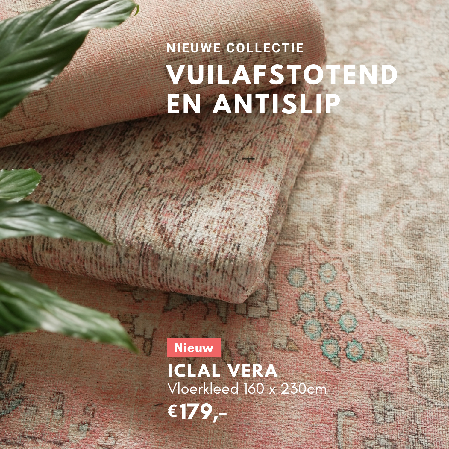 Vitavien. Facebook ad