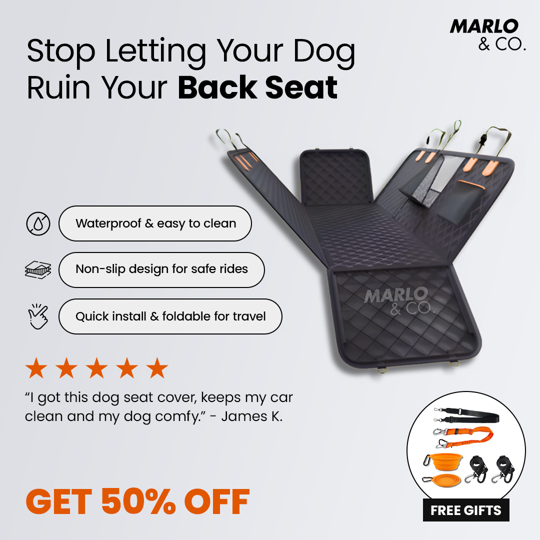 Marloandco Facebook ad