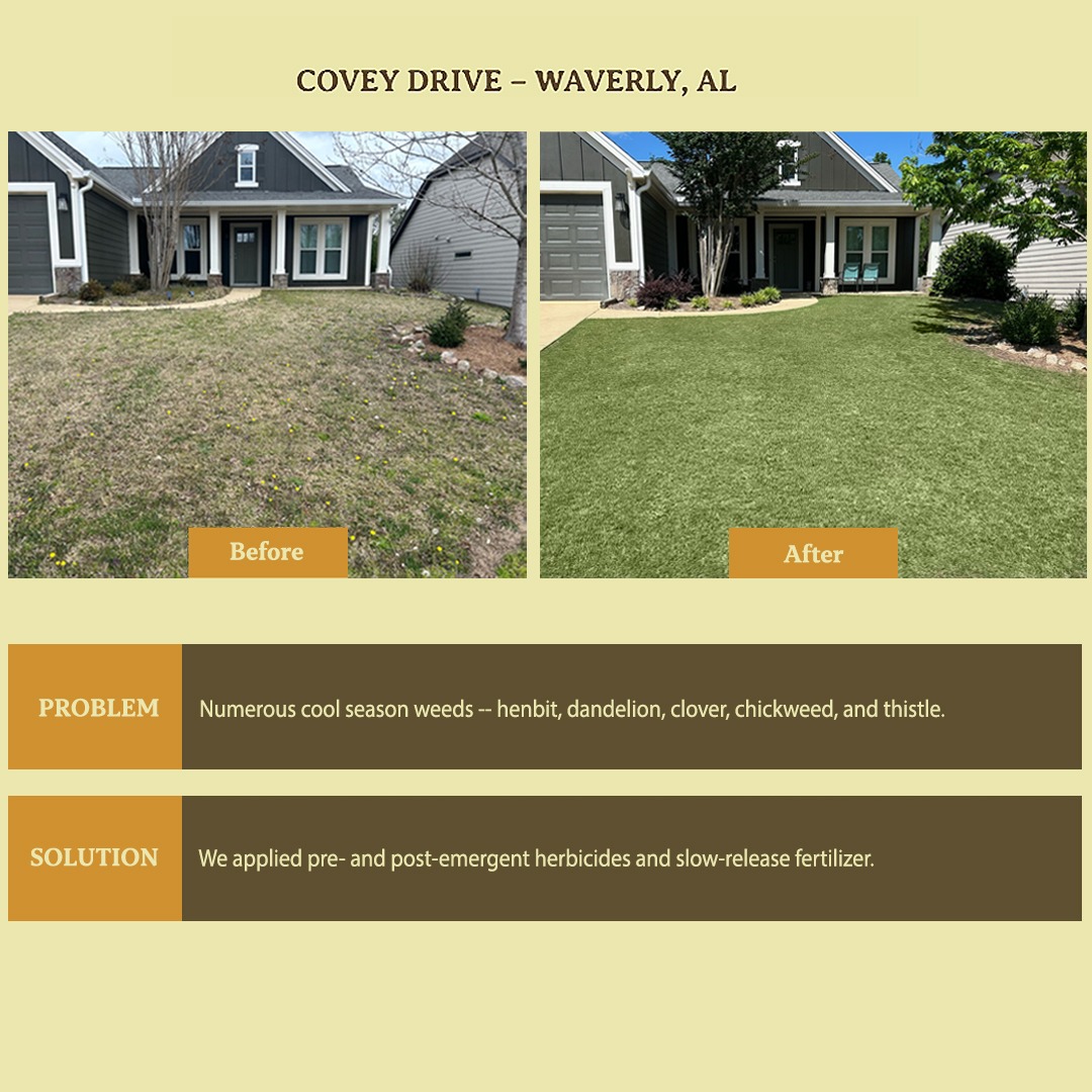 Southern Lawns Facebook ad from Jun 12, 2025