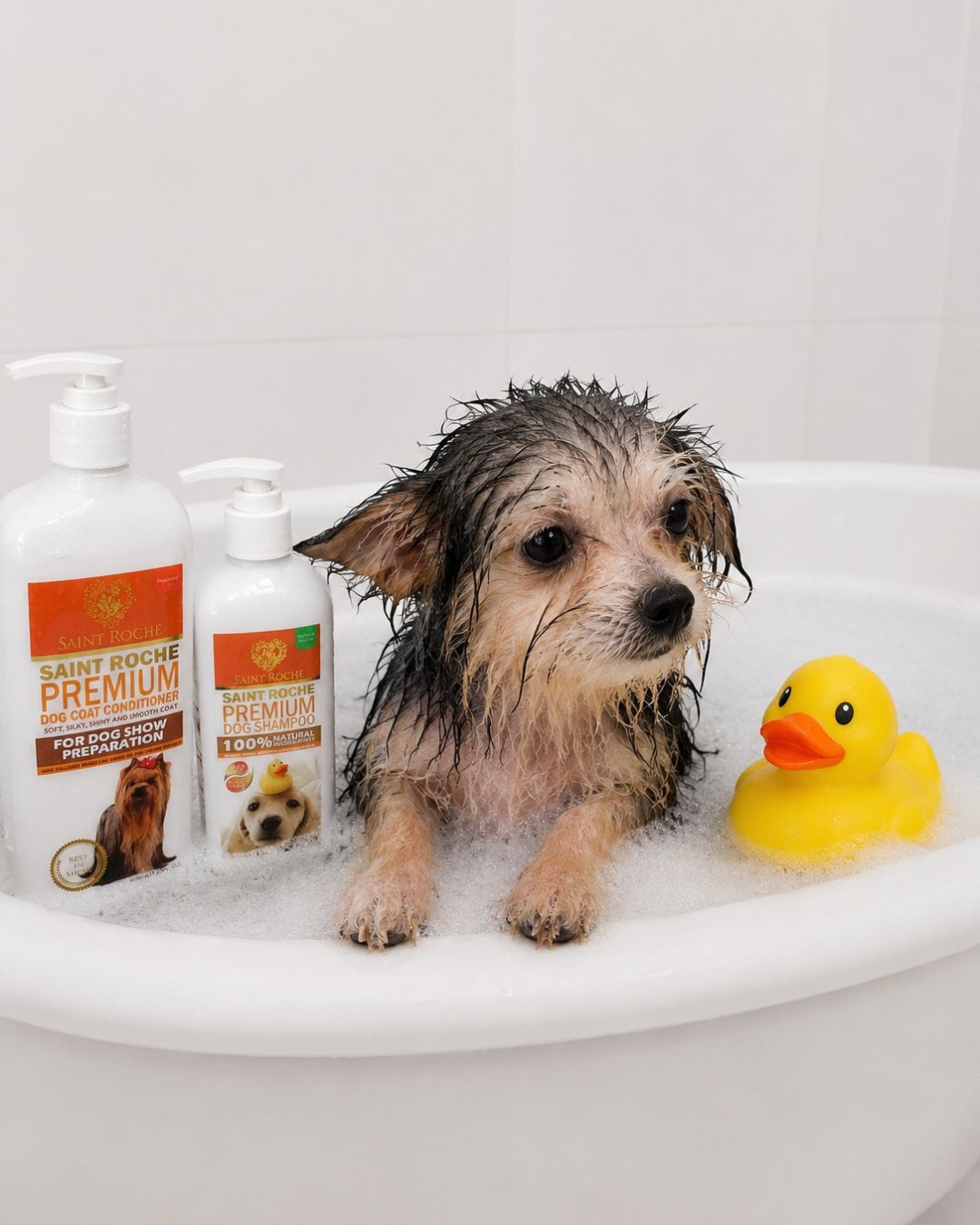Saint Roche Premium Dog Shampoo Facebook ad
