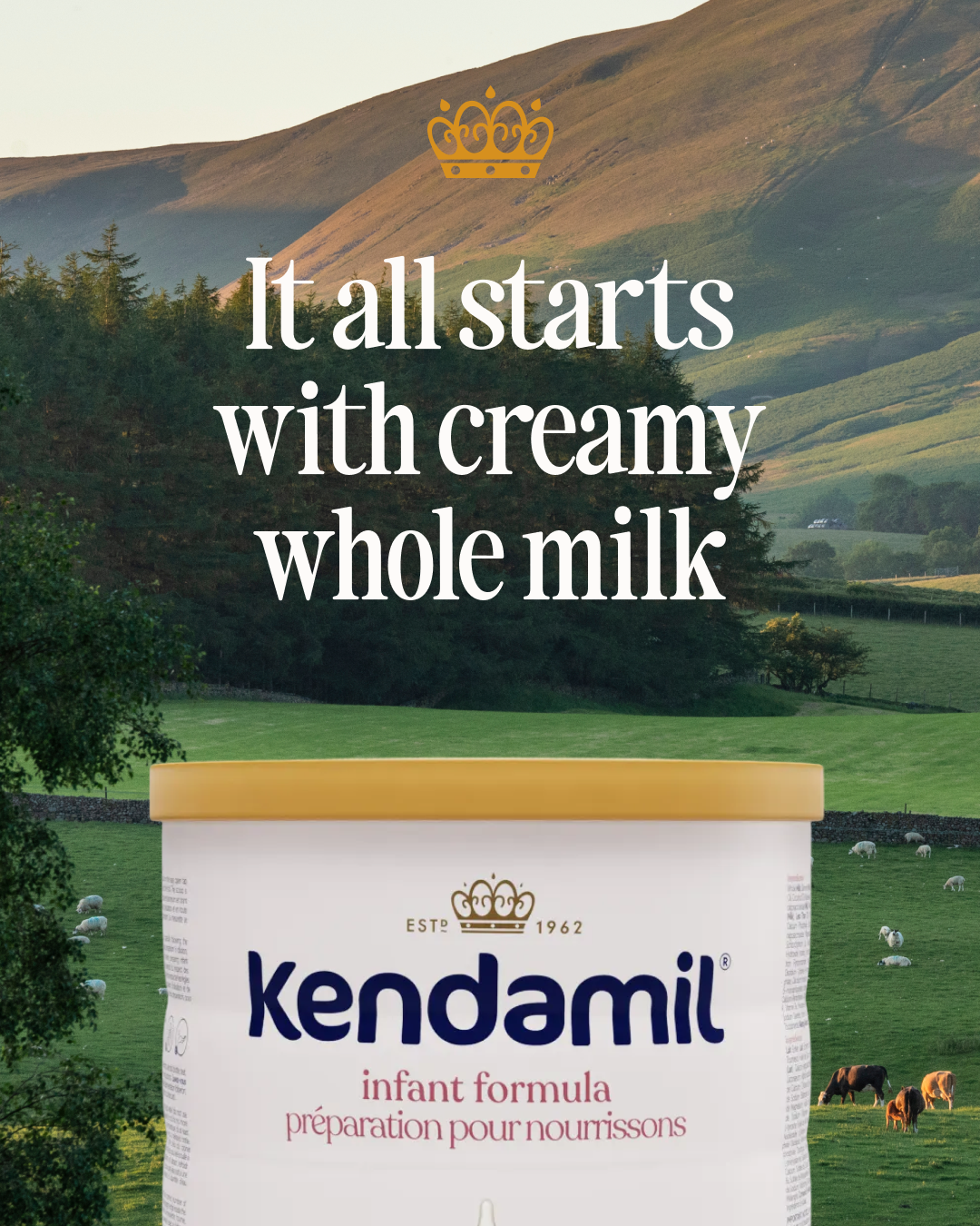 Kendamil Canada Facebook ad