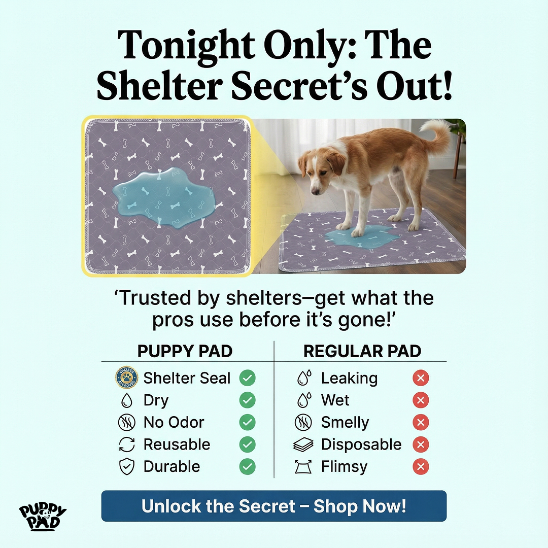 PuppyPad Facebook ad