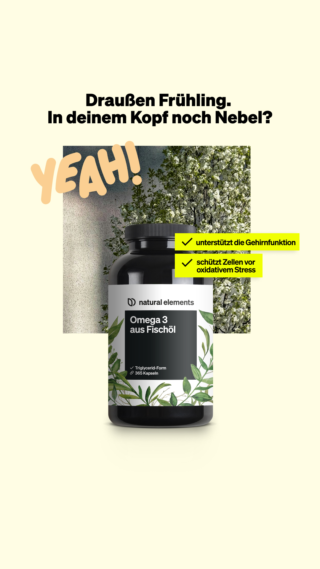 natural elements Facebook ad
