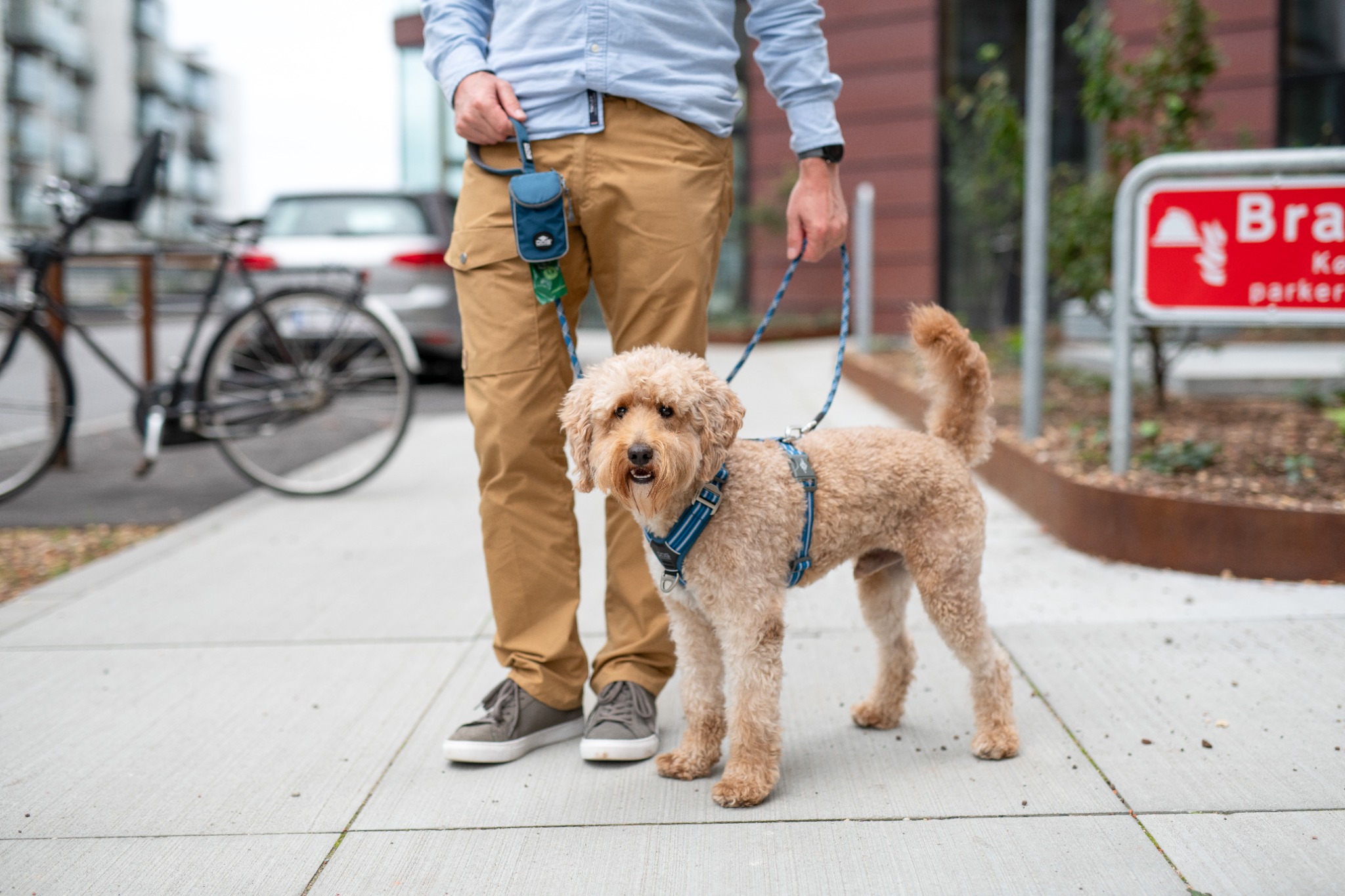 DOG Copenhagen Facebook ad