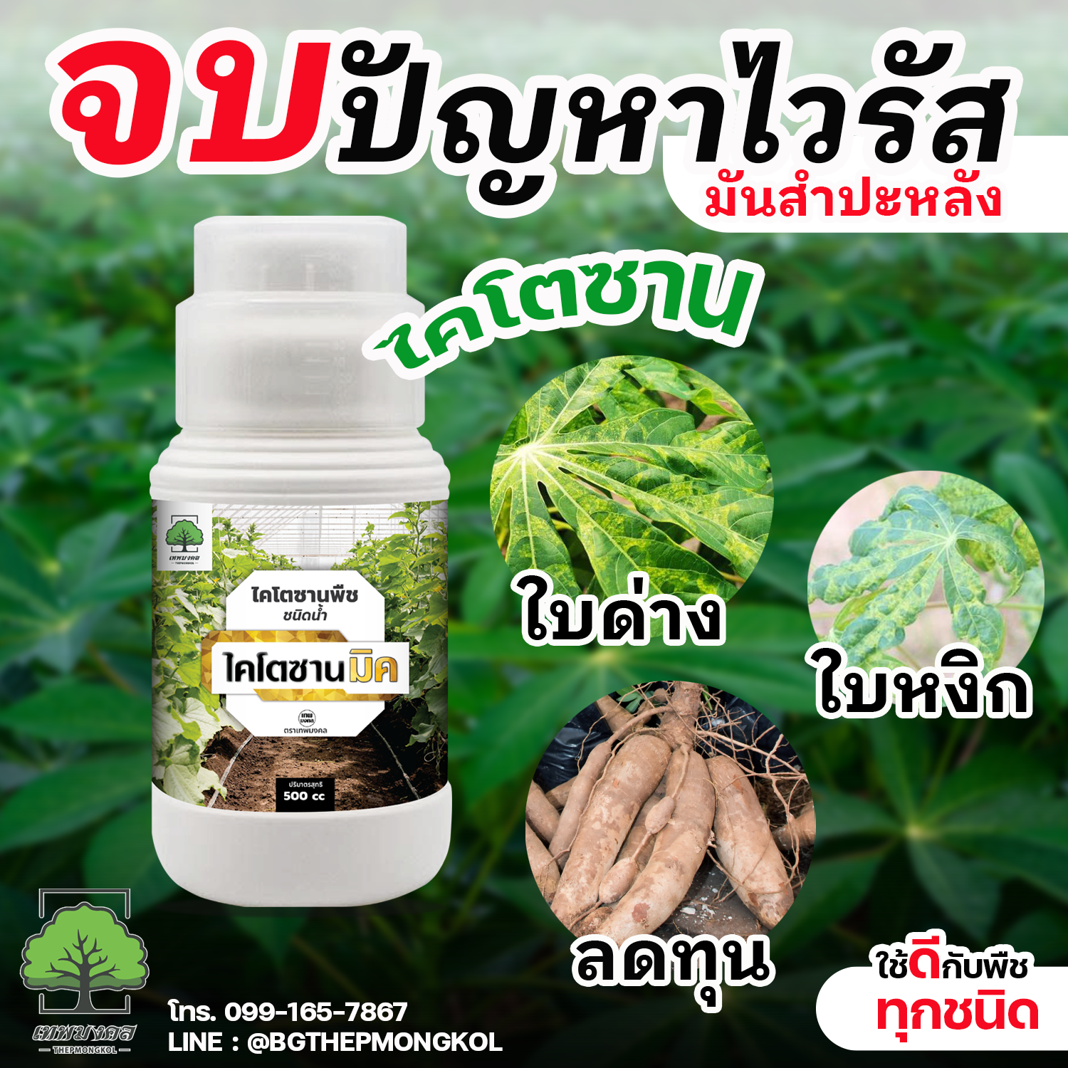 ไคโตซานมิค สูตรพรีเมี่ยม เพิ่มภูมิต้านทาน Facebook ad