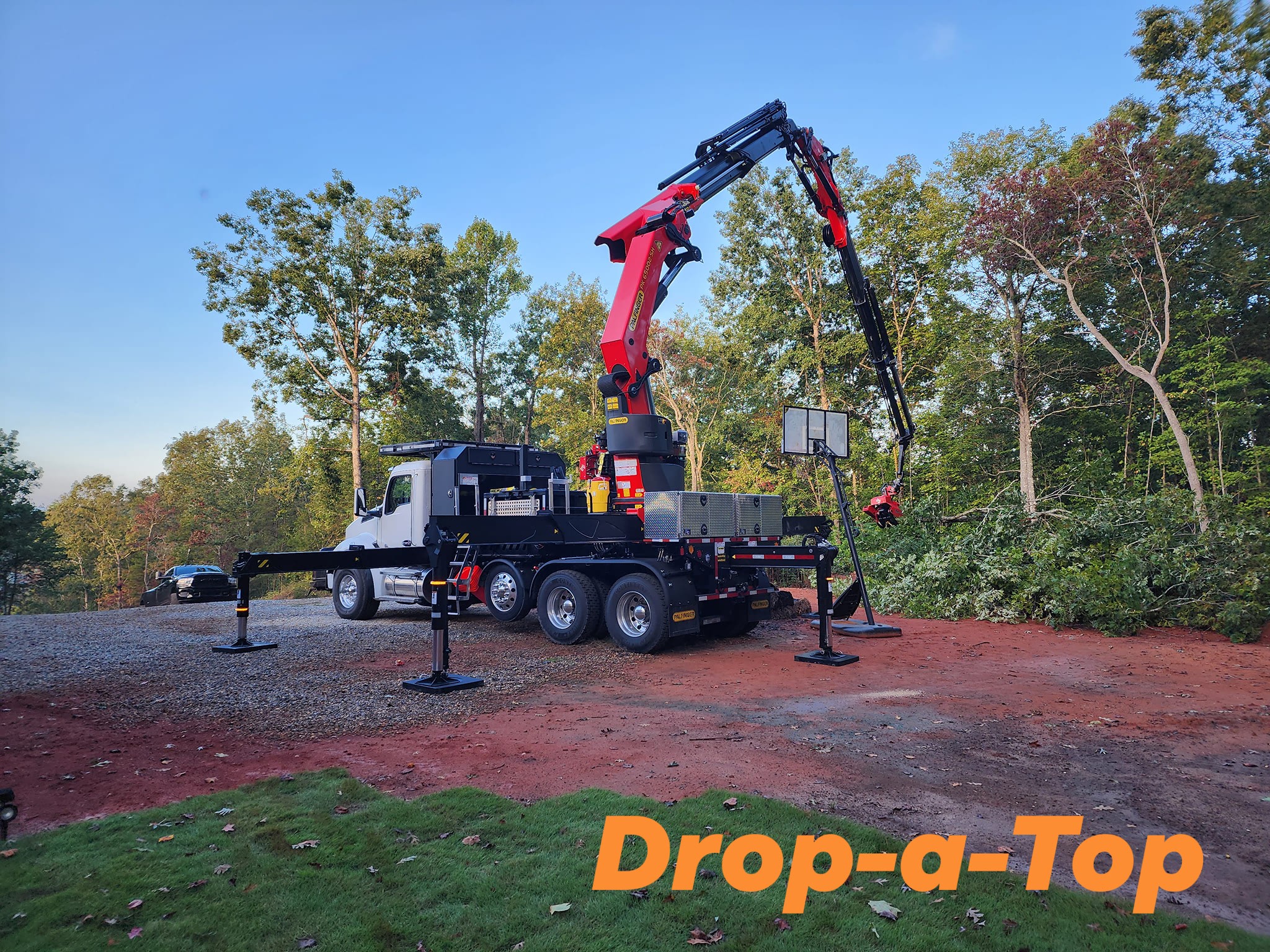 Drop-a-Top Tree Service Facebook ad: Professional Tree Service
