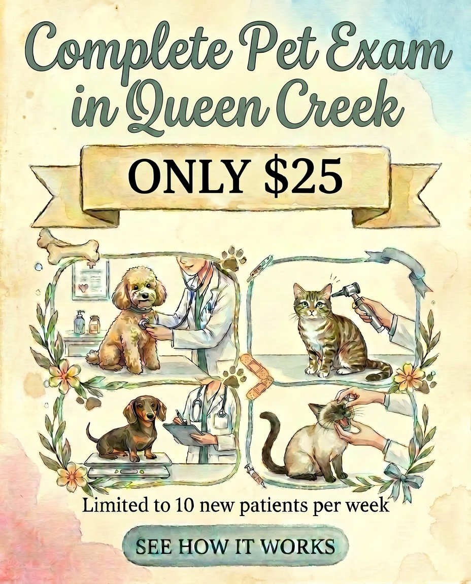 Revel Vet Facebook ad