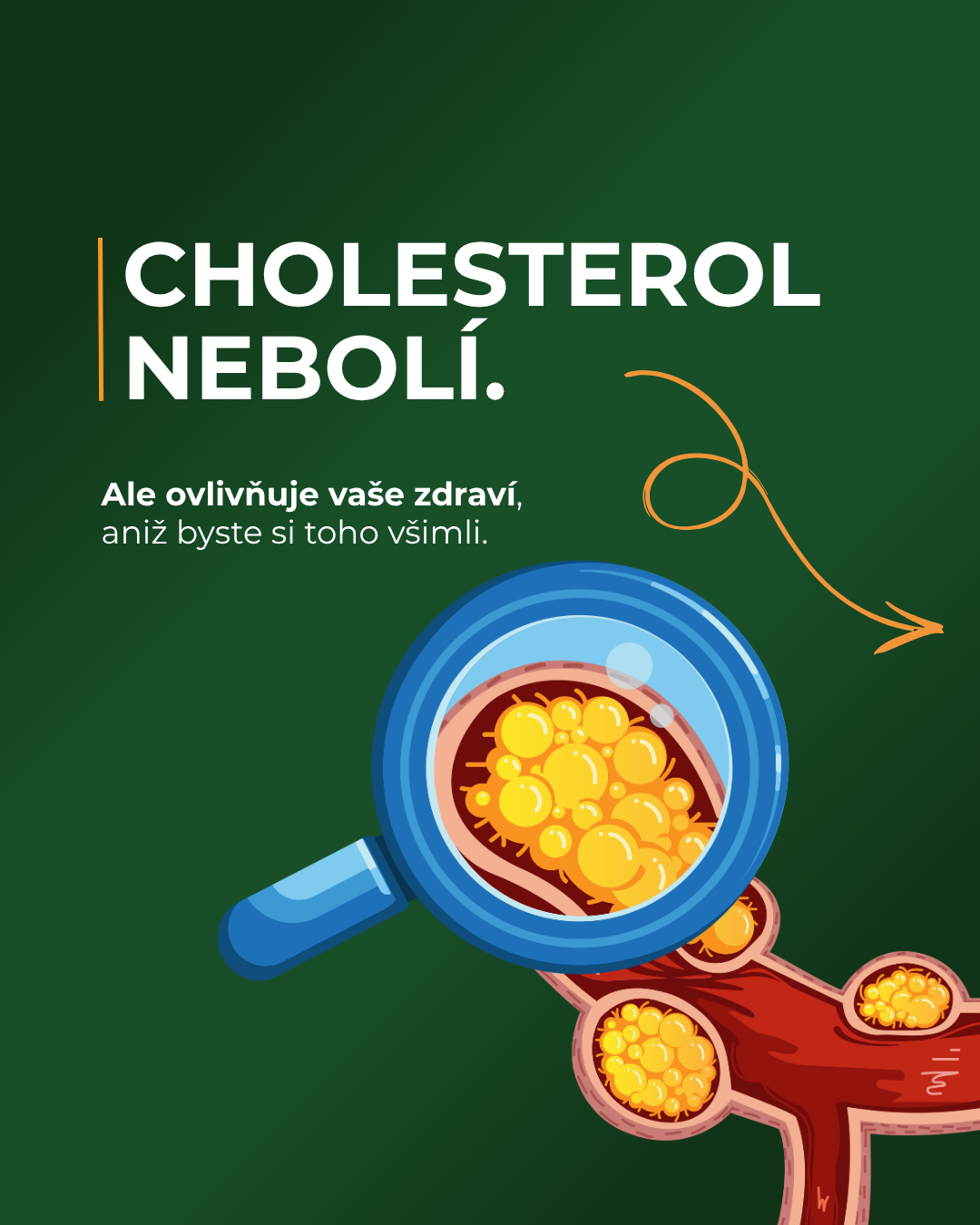 Můj cholesterol Facebook ad: Cholesterol o sobě většinou nedává vědět.