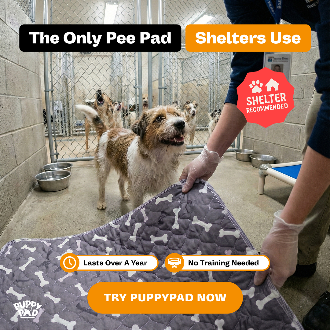 PuppyPad Facebook ad