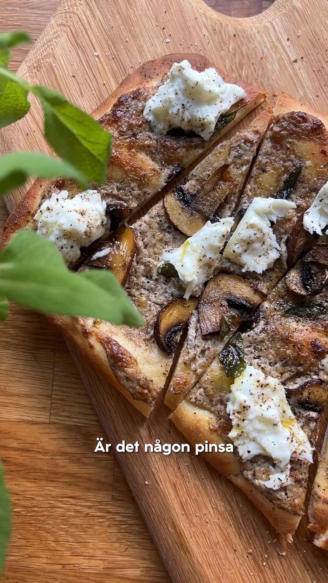 Zeta Facebook ad: skogschampinjoner och tryffelkräm