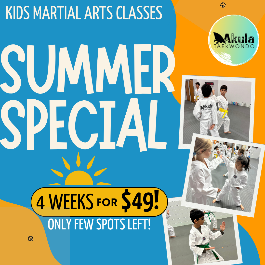 Akula Taekwondo Facebook ad