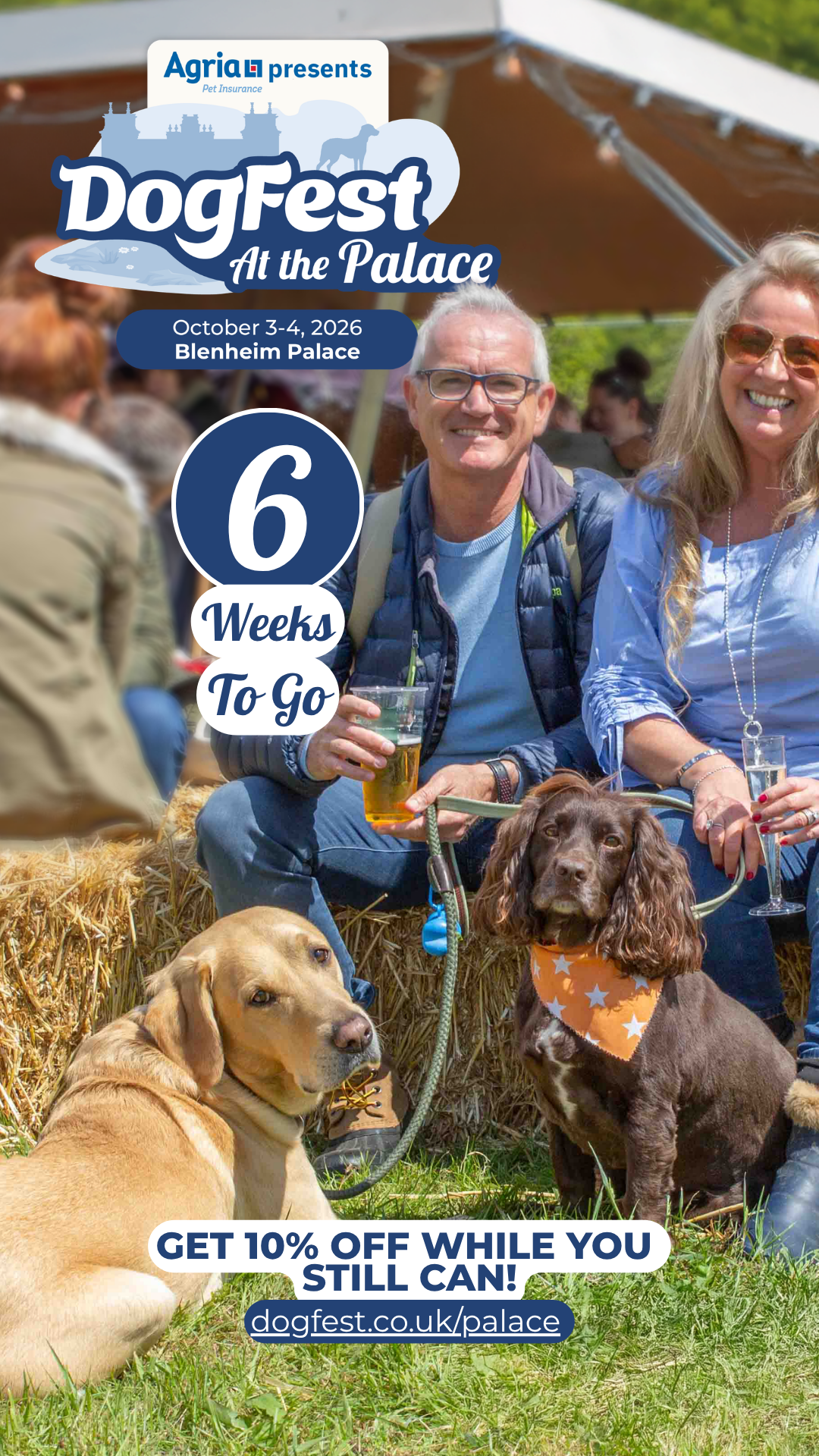 DogFest Facebook ad