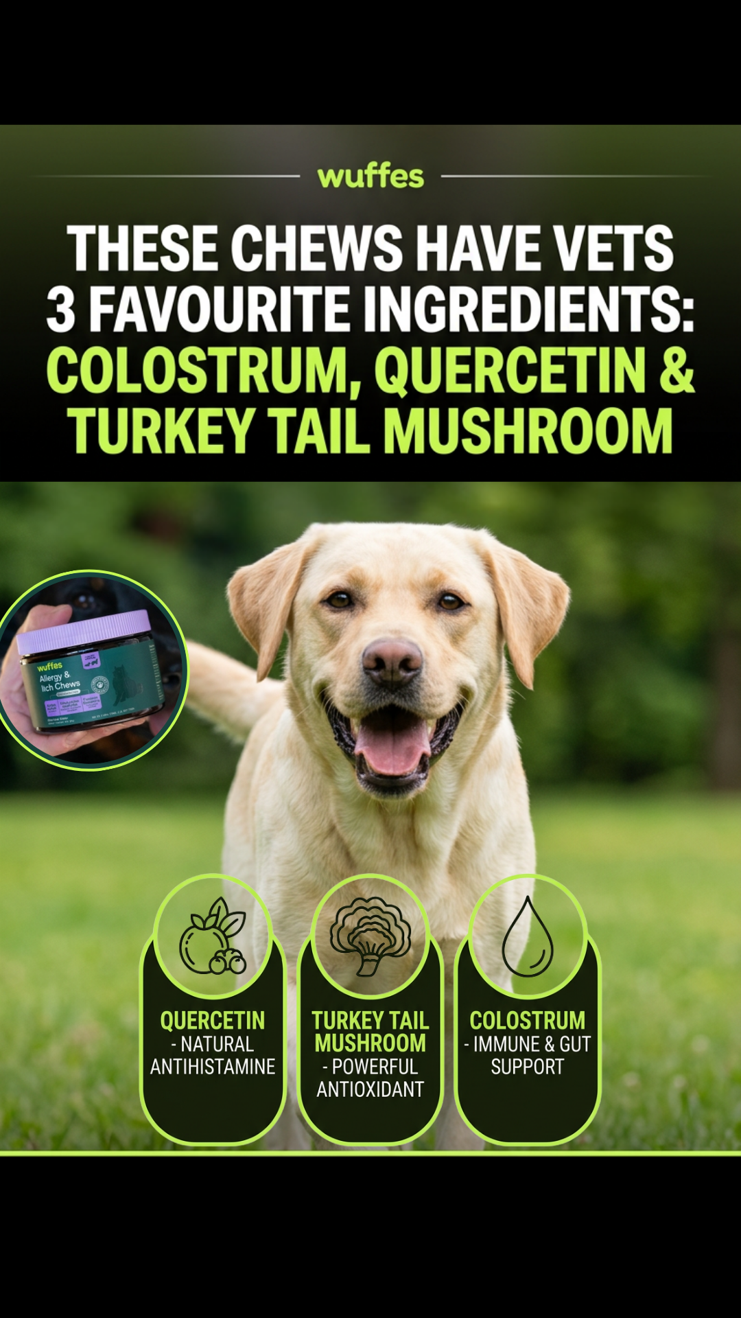 Everyday Pet Health Facebook ad
