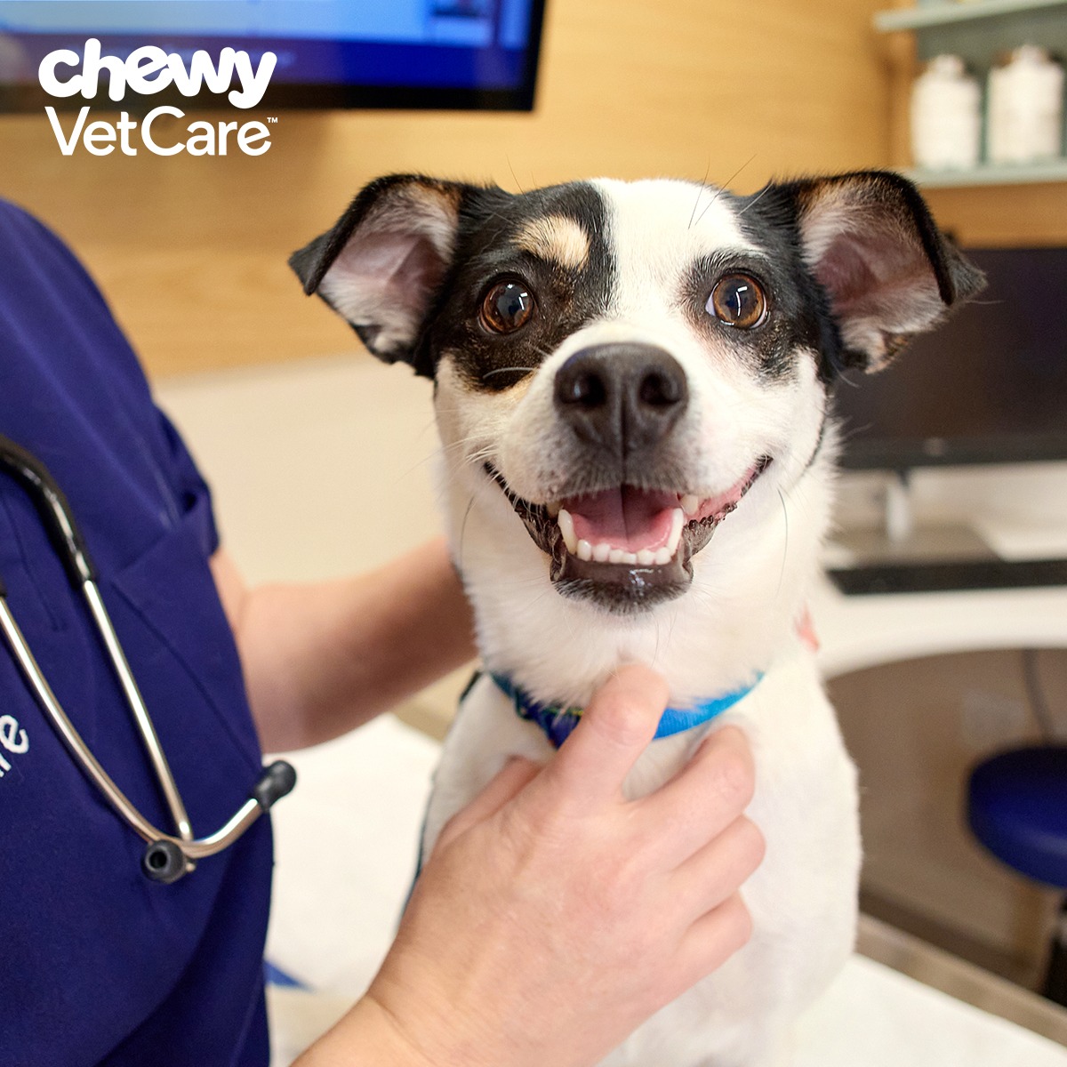 Chewy Vet Care Facebook ad