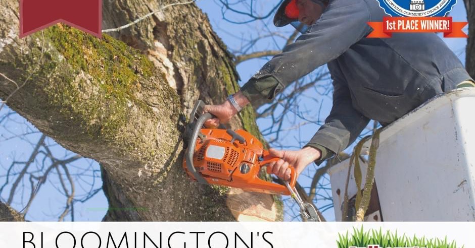 Anthony's Lawn Care and Landscaping Facebook ad