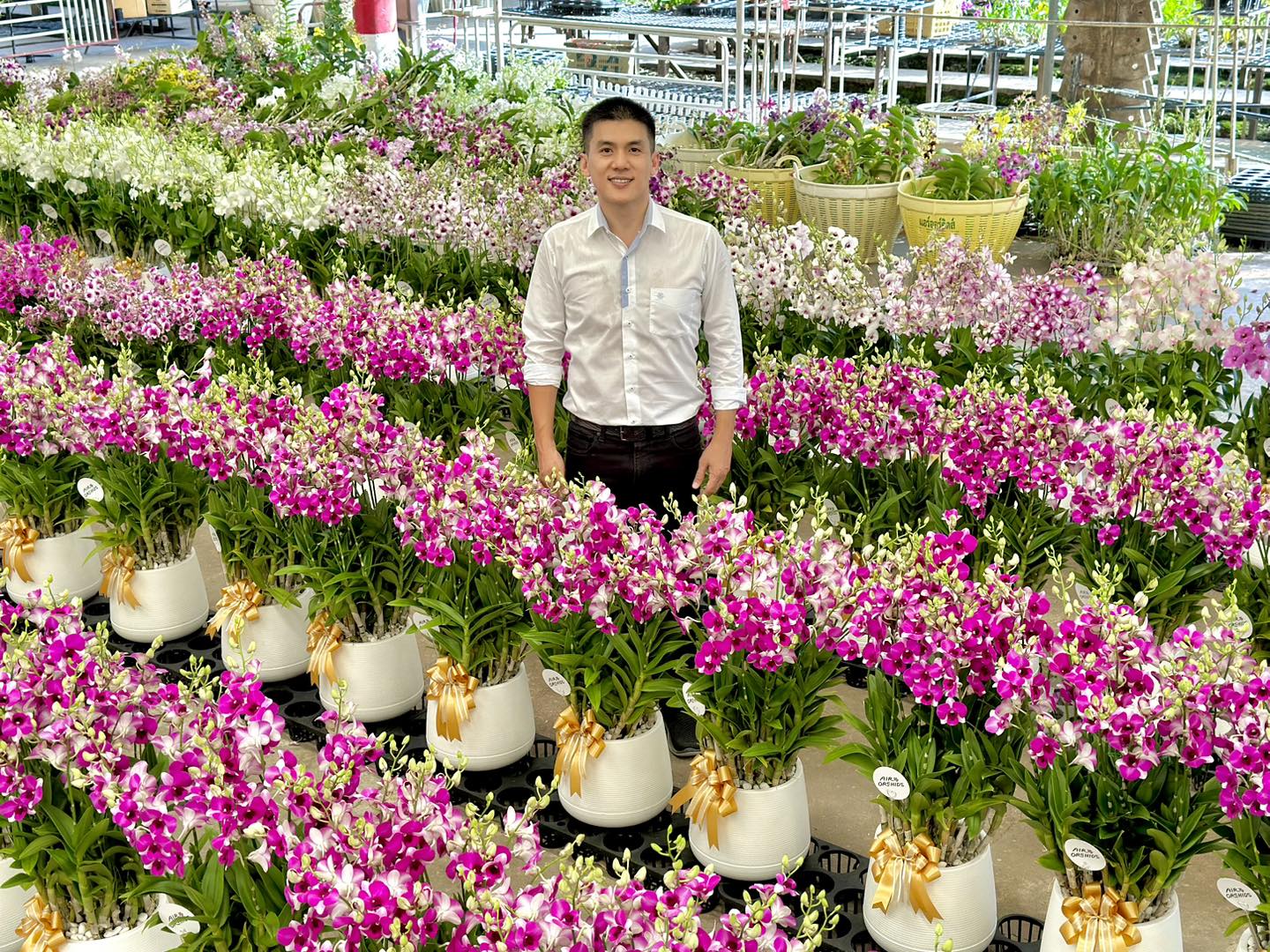 AIRORCHID SUPERMARKET Facebook ad: กล้วยไม้ กระถางของขวัญ ดูดี มีคุณค่า ความหมายดี