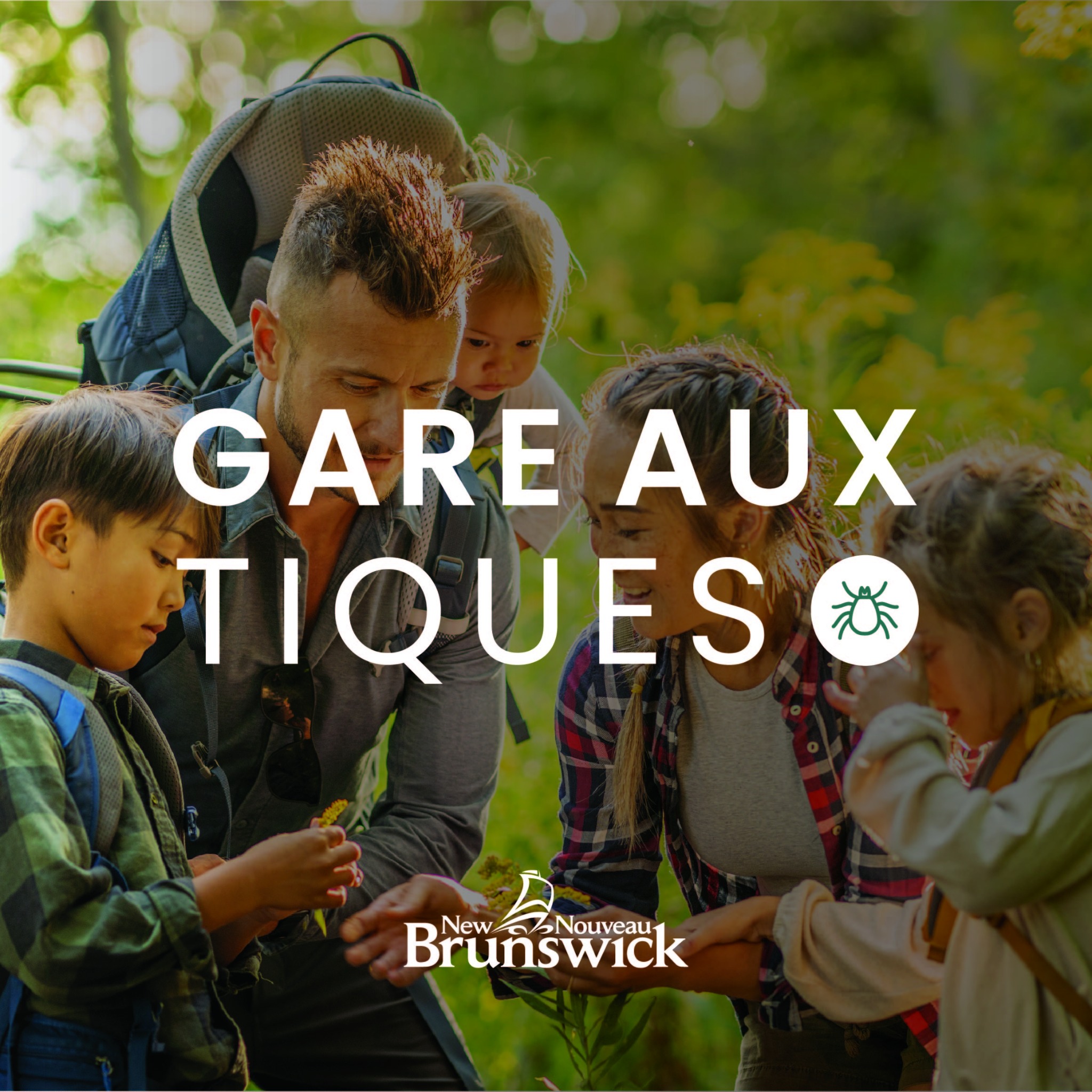 Gouvernement du Nouveau-Brunswick Facebook ad: Gare aux tiques: protégez-vous contre les morsures de…