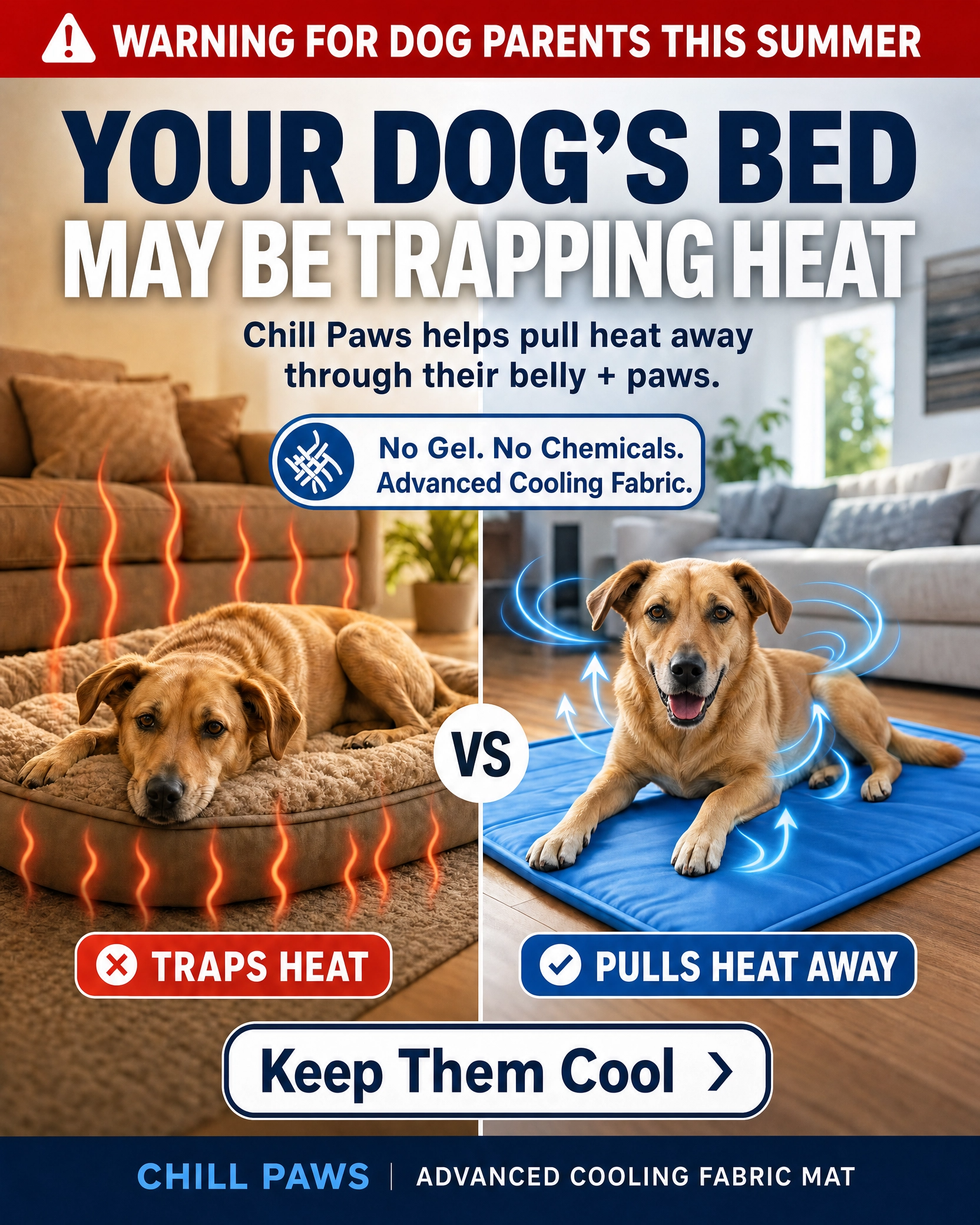 Rhykin Pet Co Facebook ad