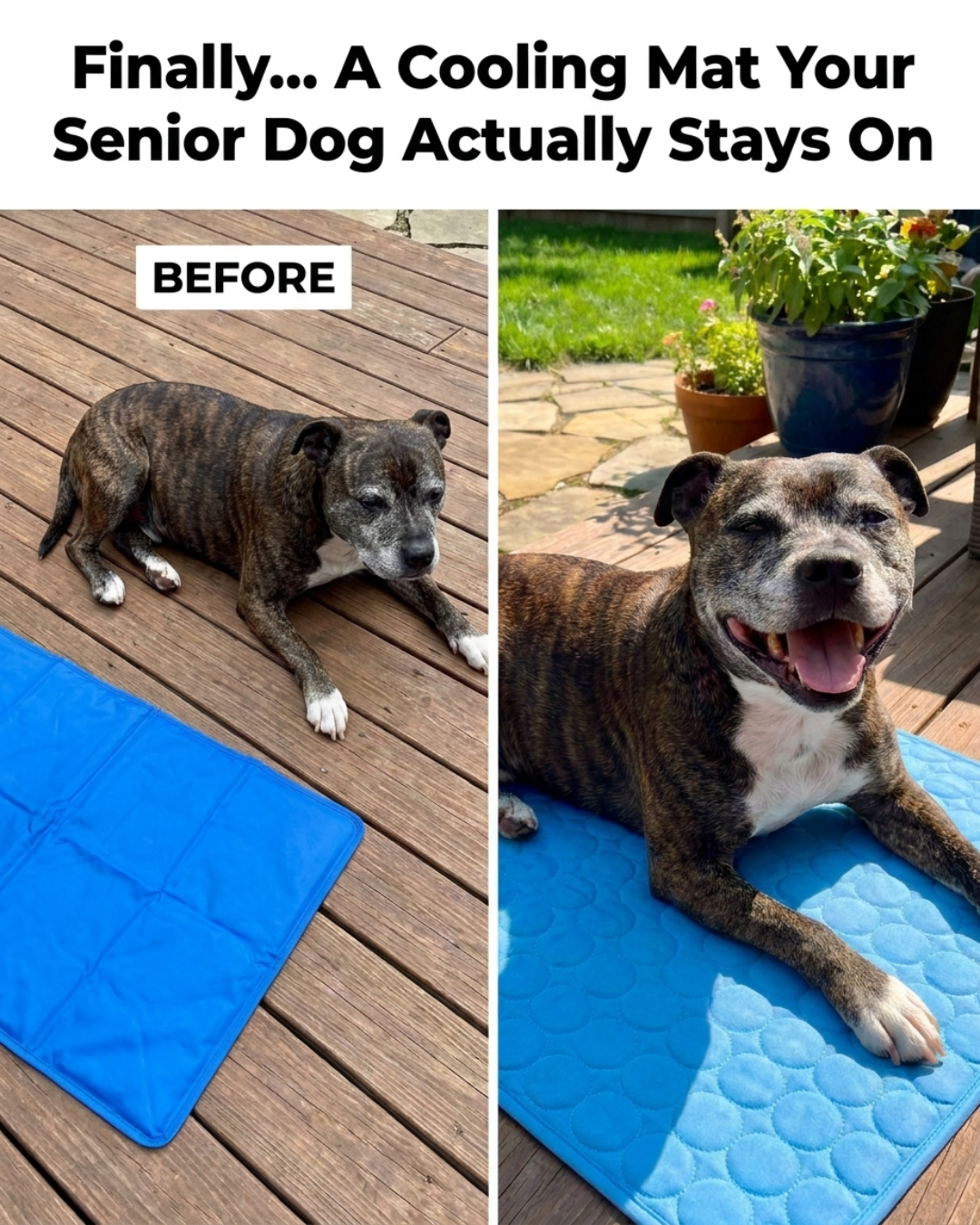 Arctica Facebook ad: Gel Mats That Lose Effectiveness Fast? Seniors Deserve…