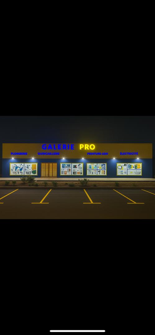 Societe galerie pro Facebook ad: Entreprise spécialisée en: Électricité, Plomberie…