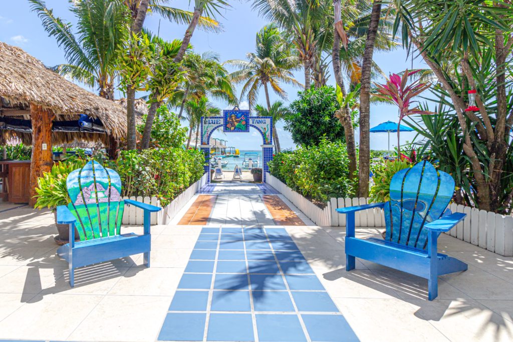 Blue Tang Inn Facebook ad: Relax and explore Belize at our beachfront hotel…