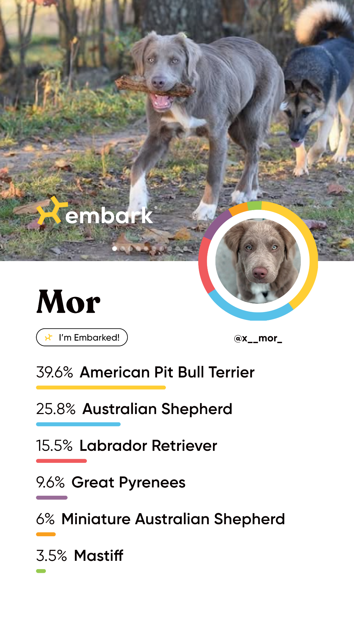 Embark Vet Facebook ad