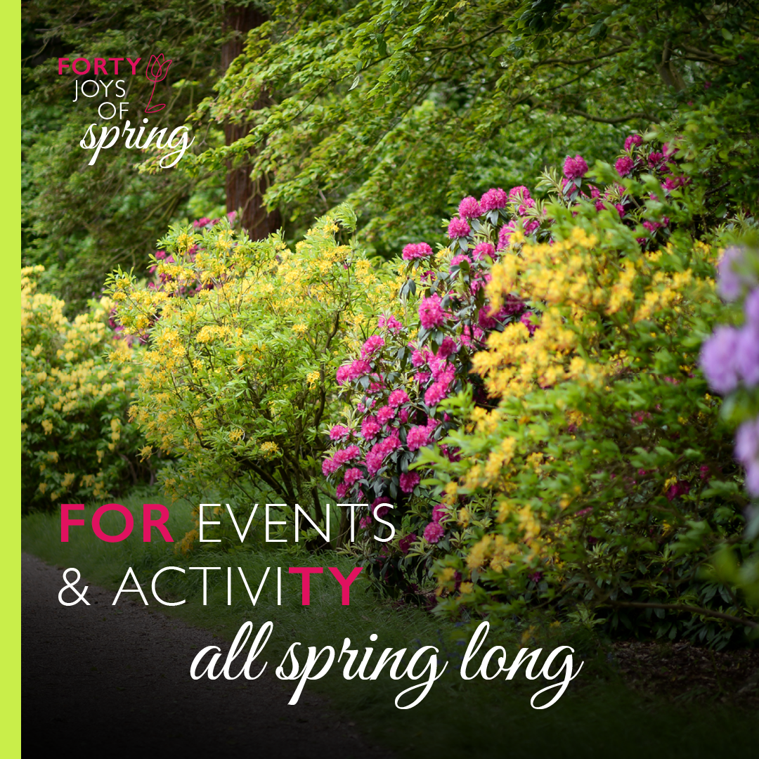 Weston Park Facebook ad: For all the joys of spring, visit Weston…