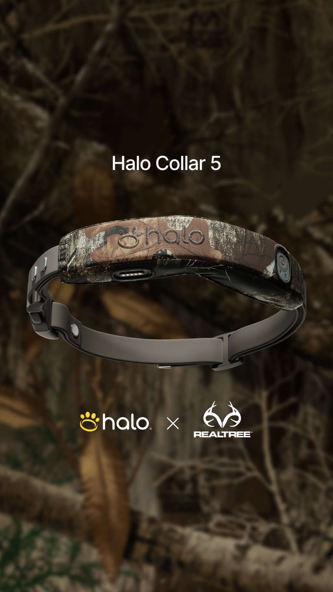 Halo Collar Facebook ad