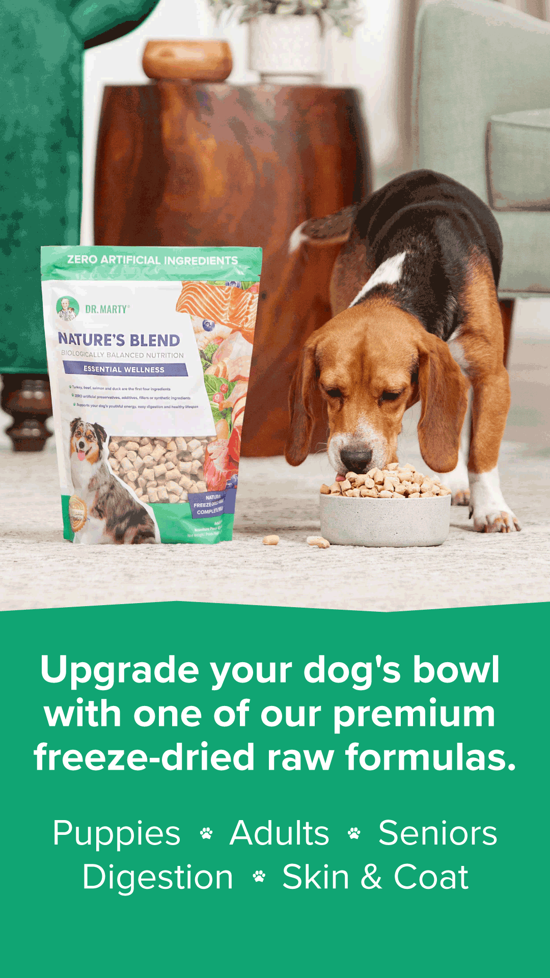 Petco Facebook ad