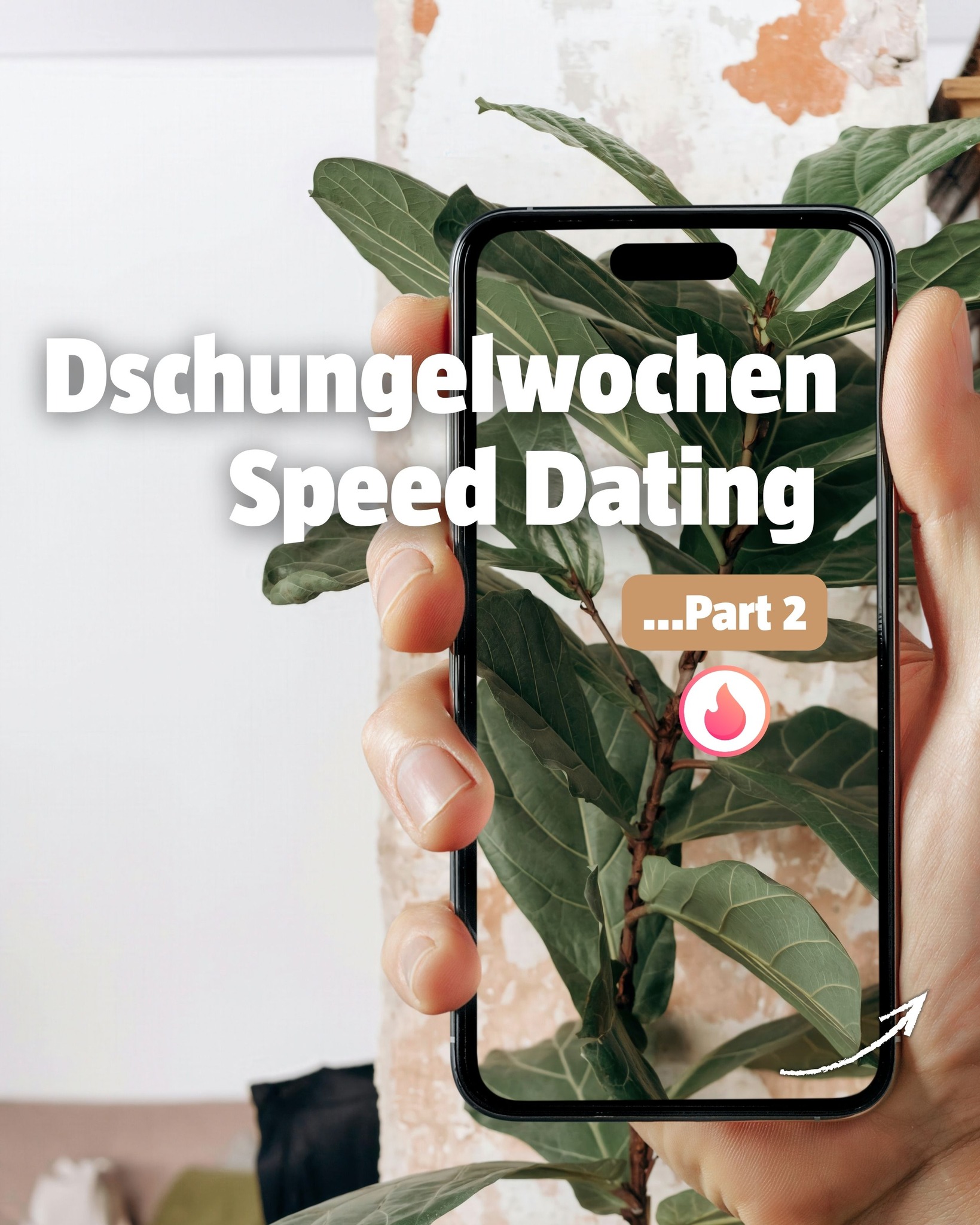 BAUHAUS Schweiz Facebook ad