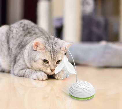 World4Cats Facebook ad: World4Cats ist eine UG (haftungsbeschränkt) und verkauft…