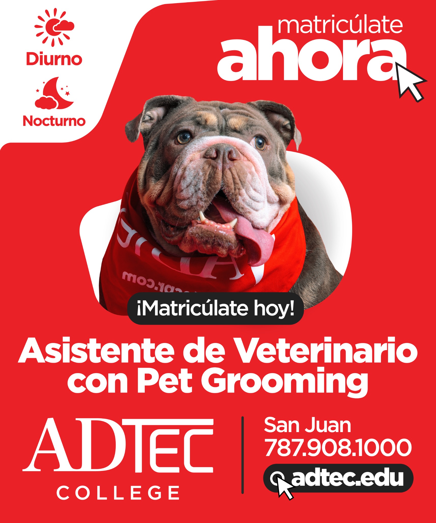 Adtec College Facebook ad