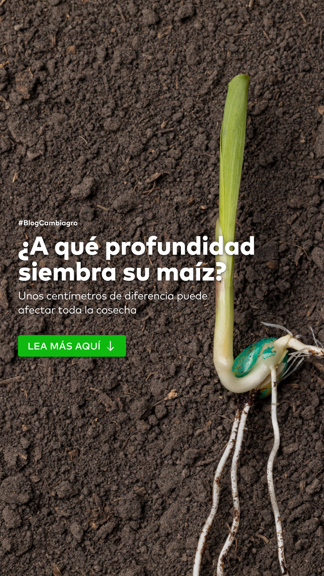 Cambiagro Facebook ad: Lea la nota completa en #BlogCambiagro