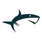 Shark Solar
