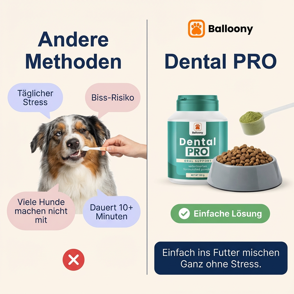 Balloony.pet Facebook ad