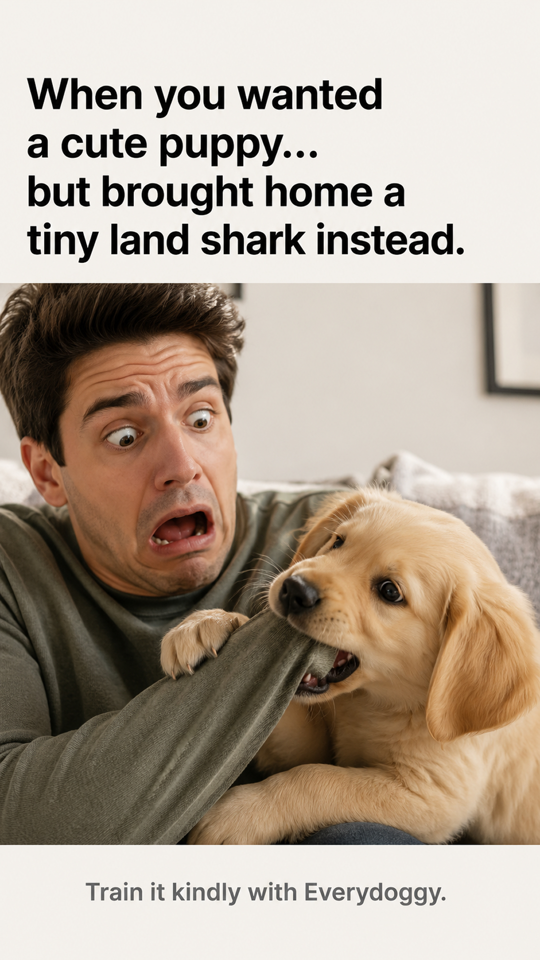 Puppy Tips for Training Facebook ad
