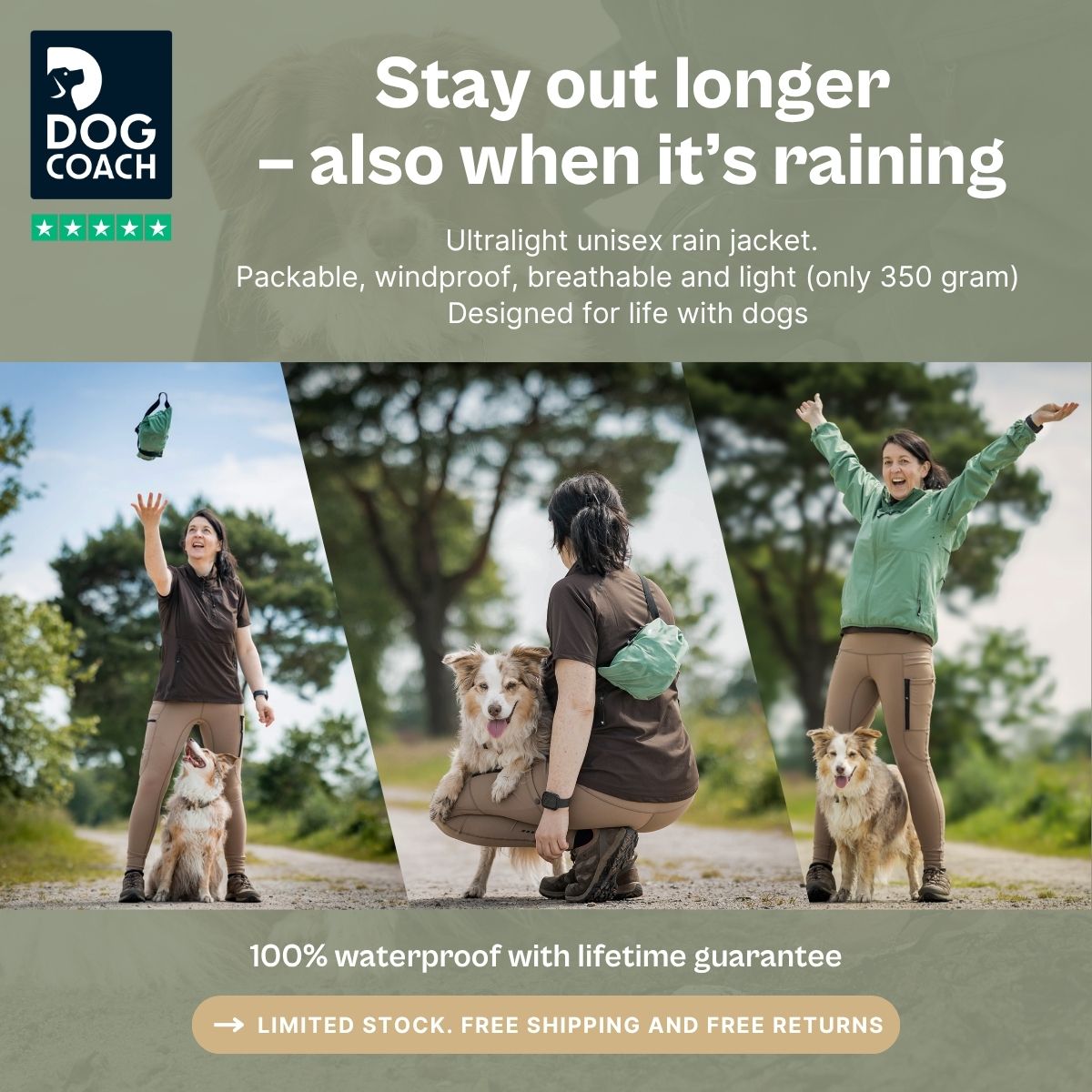 DogCoach Facebook ad