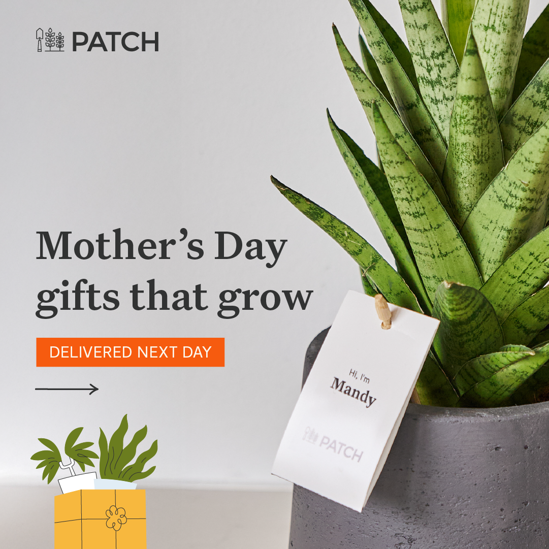 Patch plants Facebook ad