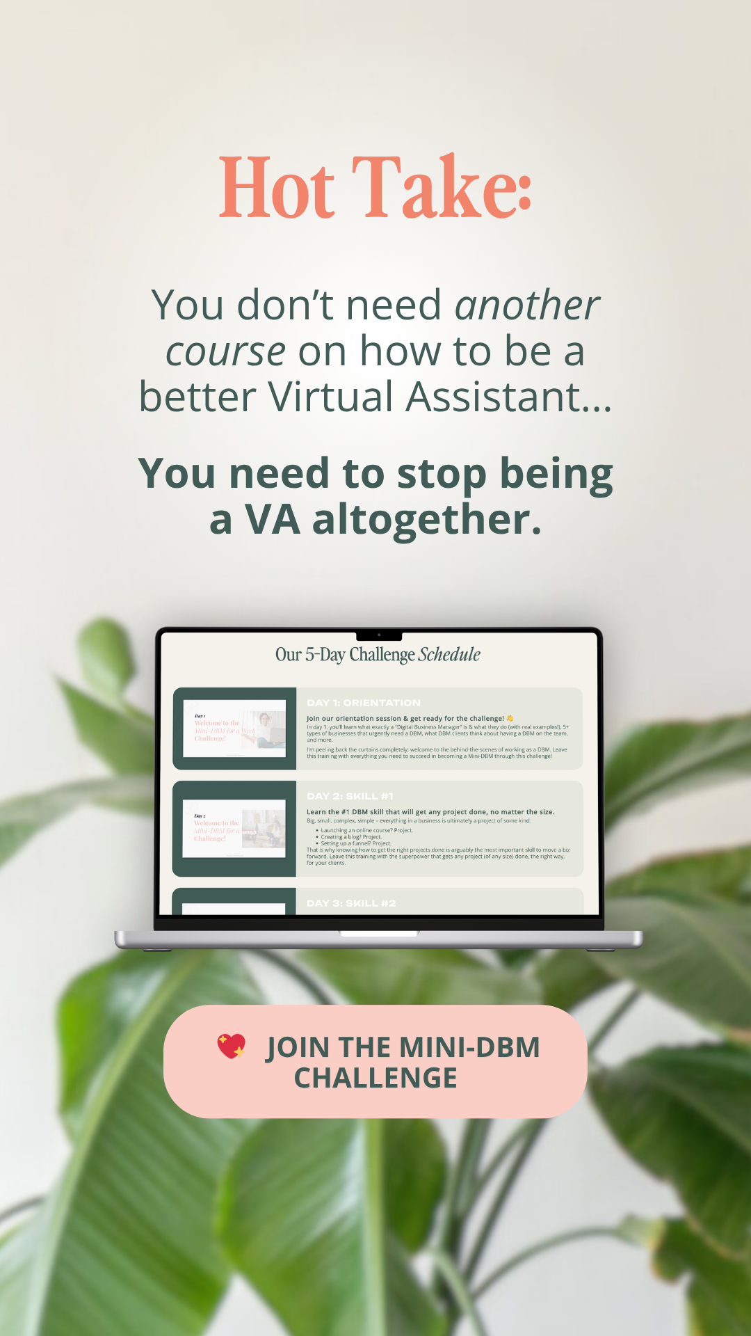 DBM Bootcamp Facebook ad