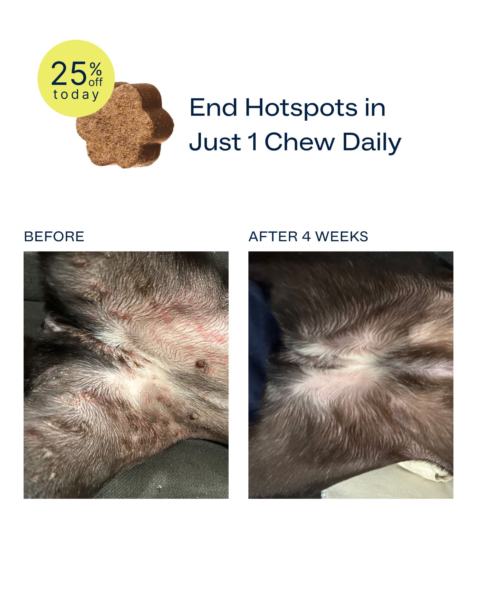 Dog is Human Facebook ad