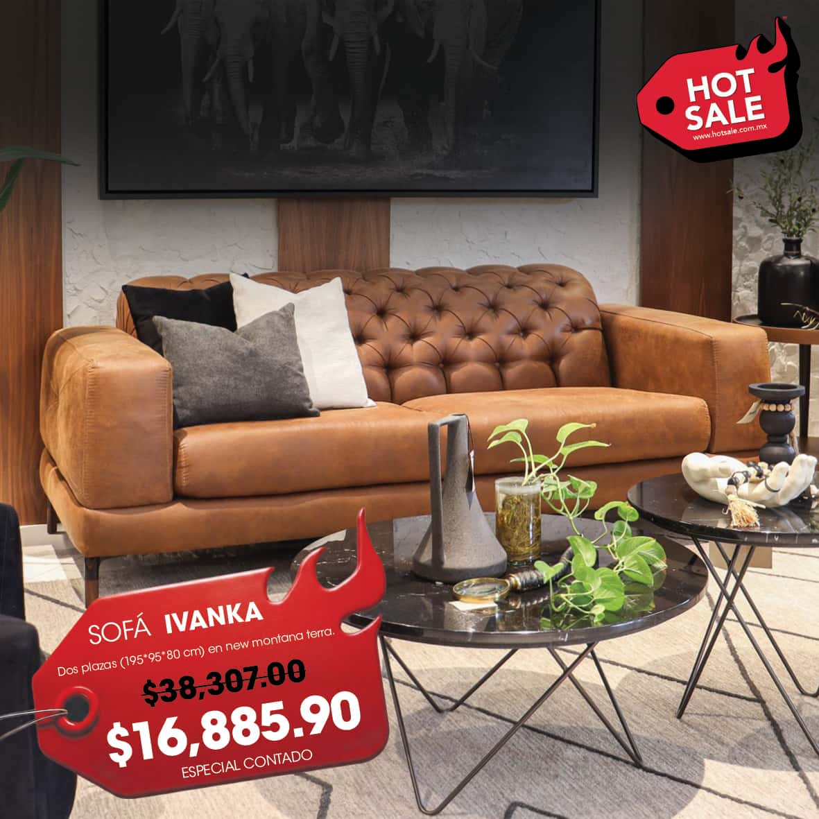 Kassël Home & Living Facebook ad: Llegó a 𝐐𝐔𝐄𝐑𝐄𝐓𝐀𝐑𝐎 el mejor 𝐇𝐎𝐓 𝐒𝐀𝐋𝐄