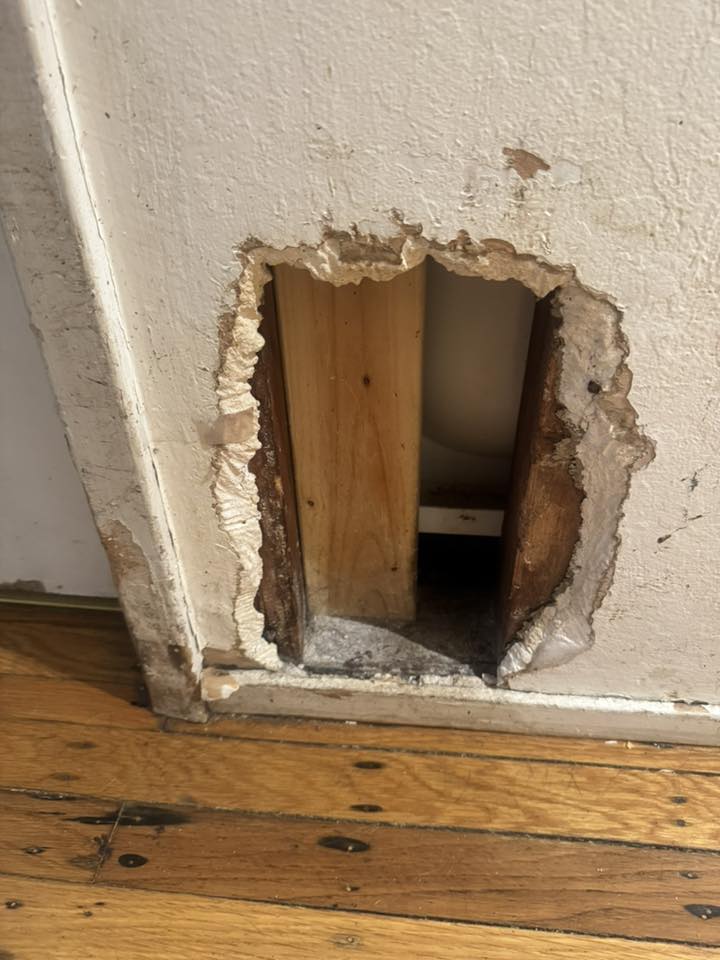 Sharon H. Facebook ad: Read this if your Border Collie is Destructive.
