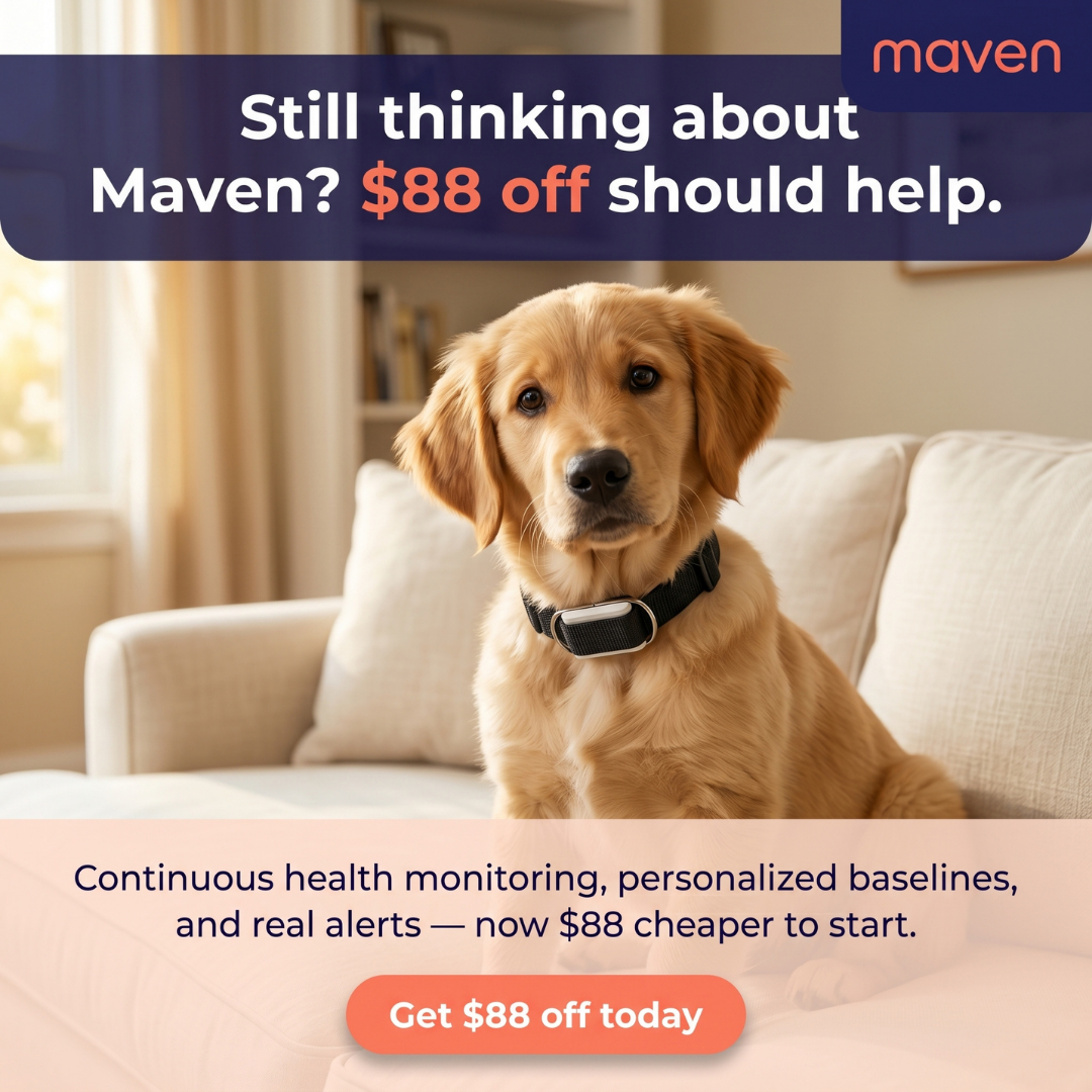 Maven Pet Facebook ad